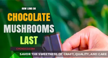 Chocolate Mushrooms Shelf Life: How Long Do They Stay Fresh?