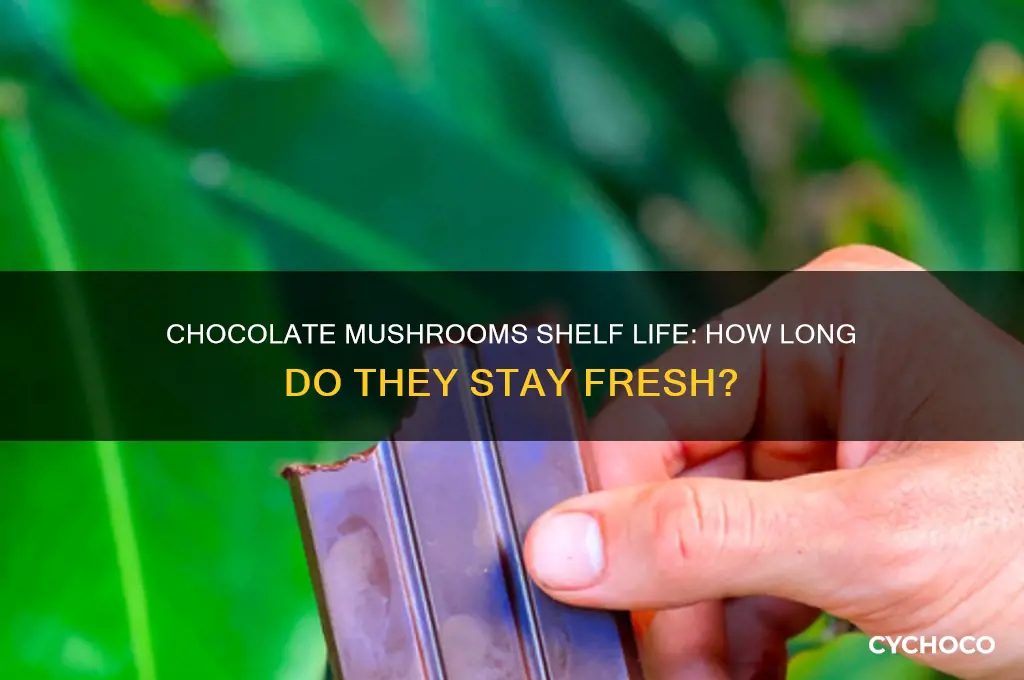 how long do chocolate mushrooms last
