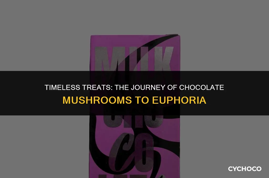 how long do chocolate mushrooms take to hit