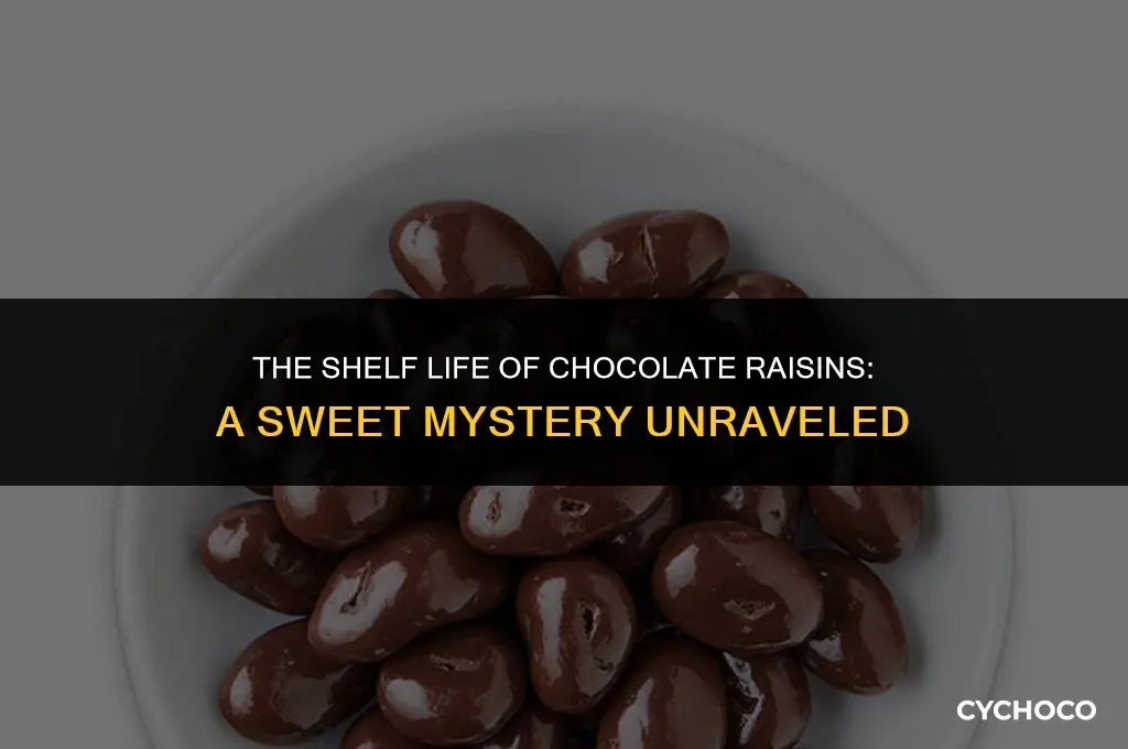 how long do chocolate raisins last