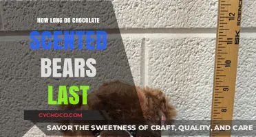 The Lifespan of Chocolate-Scented Bears: A Sweet Mystery Unveiled