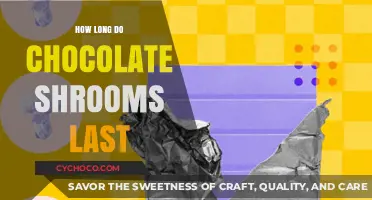 Chocolate Shrooms Shelf Life: Duration, Storage Tips, and Freshness Guide