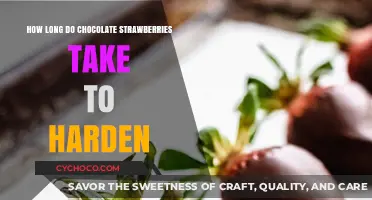 From Soft to Solid: The Chocolate Strawberry Hardening Process