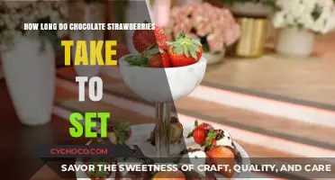 Timeless Treats: The Art of Setting Chocolate-Dipped Strawberries