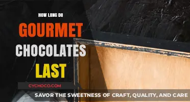 Savoring Sweetness: The Shelf Life of Gourmet Chocolates Explained