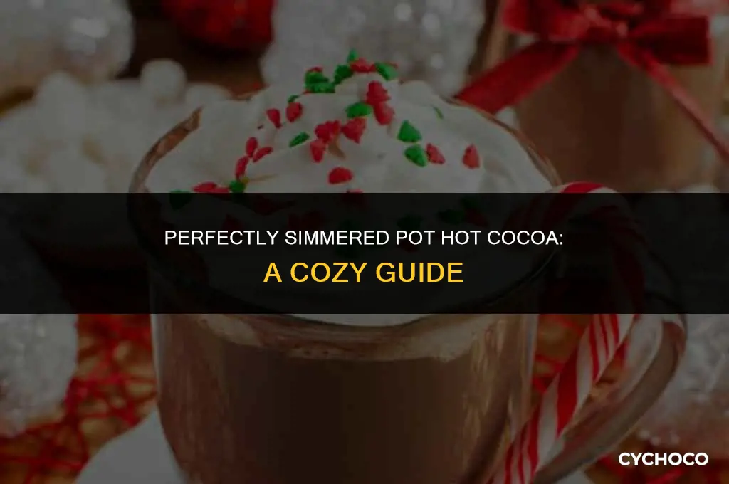 how long do i simmer pot hot cocoa