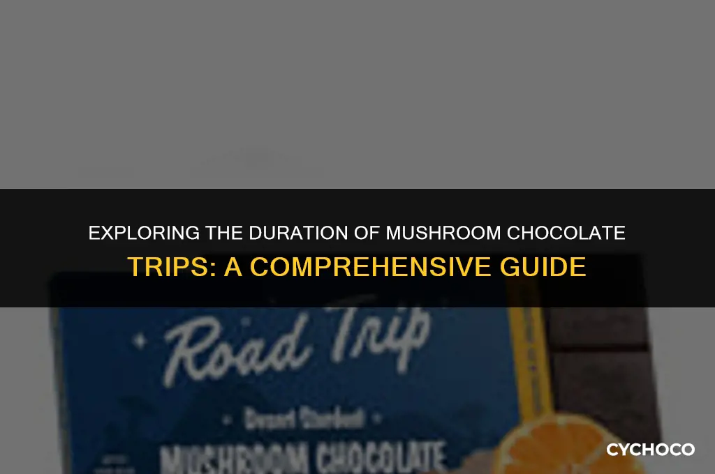 how long do mushroom chocolates trip last