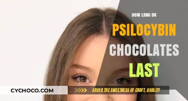 Exploring the Duration of Psilocybin Chocolates: A Comprehensive Guide