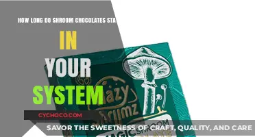 Exploring the Duration of Shroom Chocolates in Your System