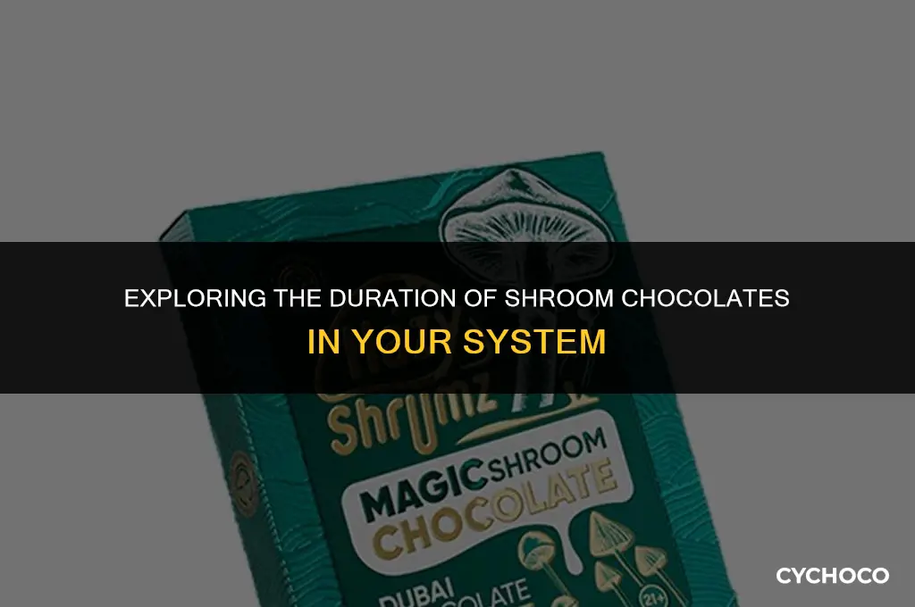 how long do shroom chocolates stay in your system