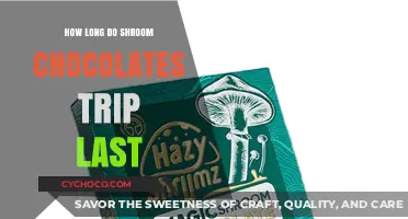Exploring the Duration of Shroom Chocolate Trips: A Comprehensive Guide