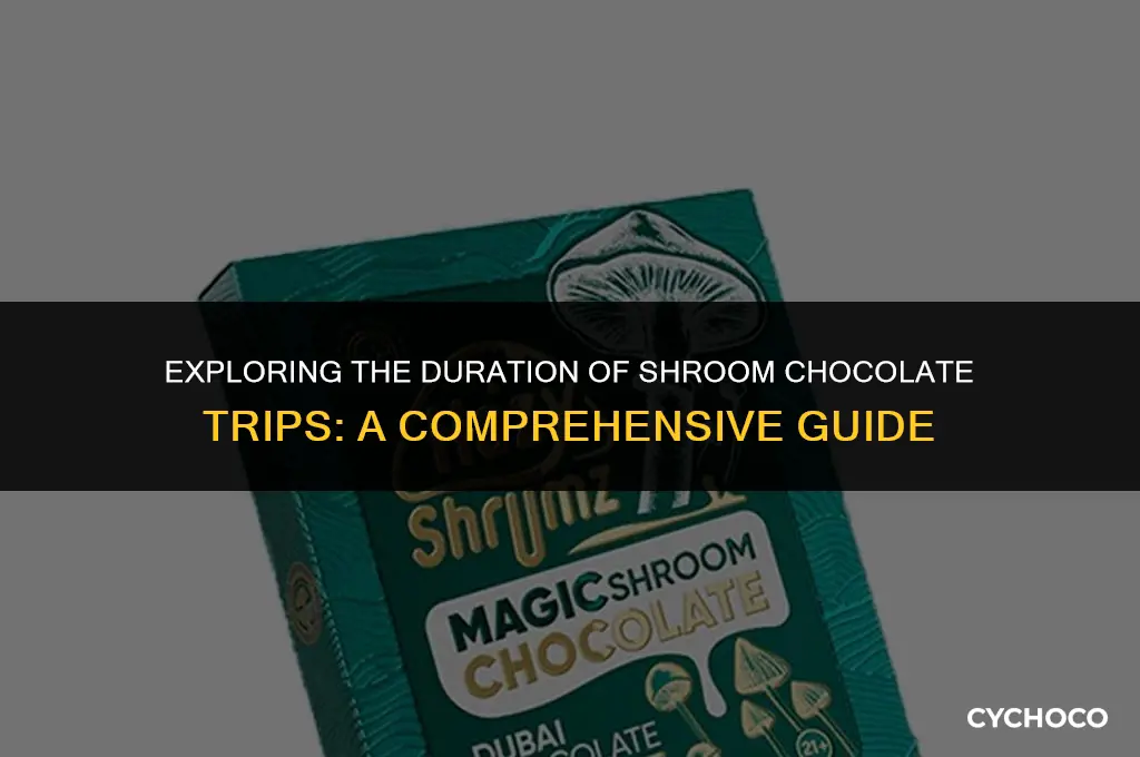 how long do shroom chocolates trip last