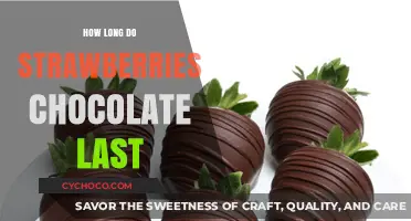 Sweet Treats: The Shelf Life of Chocolate-Dipped Strawberries