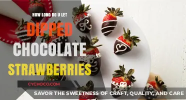 Decoding the Perfect Dip: A Guide to Chocolate-Covered Strawberries
