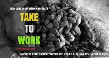 Decoding the Timeline: How Long Does Worming Chocolate Take to Work?