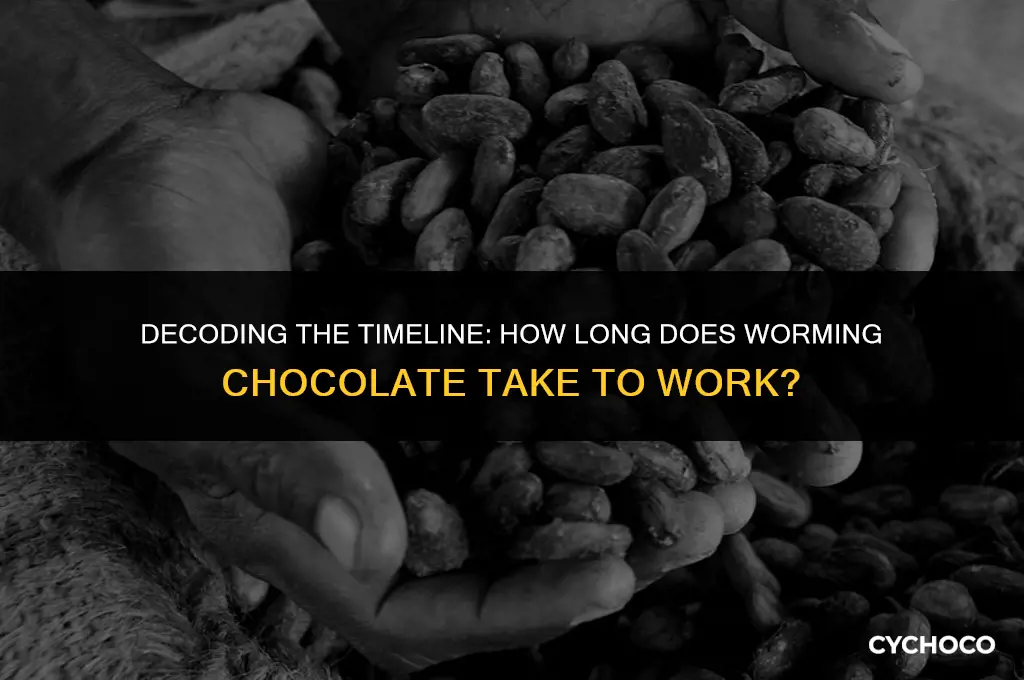 how long do worming chocolate take to work