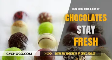 Savoring Sweetness: The Shelf Life of Your Favorite Chocolates
