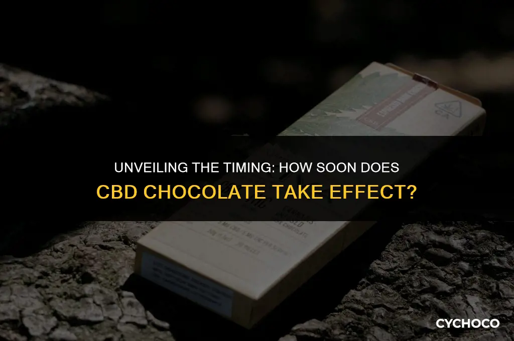 how long does cbd chocolate take to work