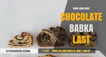 Savoring Sweetness: The Shelf Life of Chocolate Babka