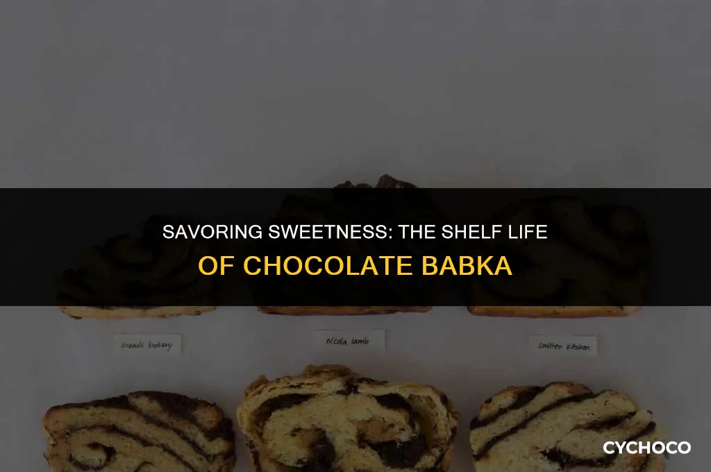 how long does chocolate babka last