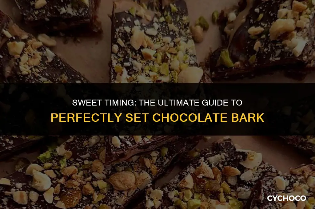 how long does chocolate bark take to set