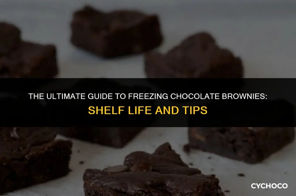 how long does chocolate brownie last in the freezer