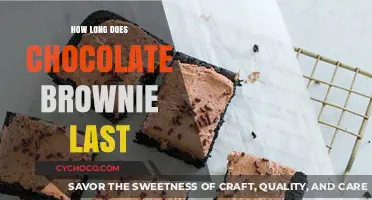 Chocolate Brownie Shelf Life: Storage Tips for Maximum Freshness