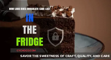 The Shelf Life of Chocolate Cake: A Delicious Dilemma