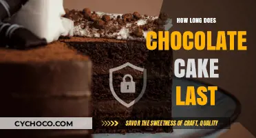 The Shelf Life of Chocolate Cake: A Delicious Guide