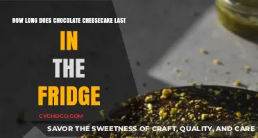 The Shelf Life of Chocolate Cheesecake: A Delicious Dilemma