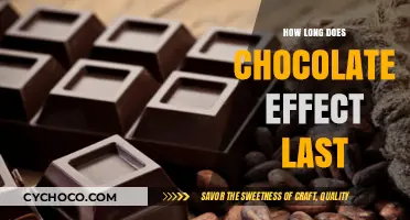 Unraveling the Duration of Chocolate's Delightful Effects