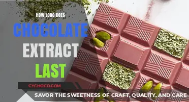 The Shelf Life of Chocolate Extract: A Comprehensive Guide