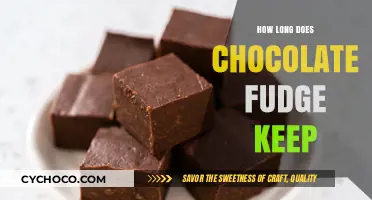 The Shelf Life of Chocolate Fudge: A Sweet Mystery Solved