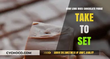 The Sweet Wait: Chocolate Fudge Setting Time Explained