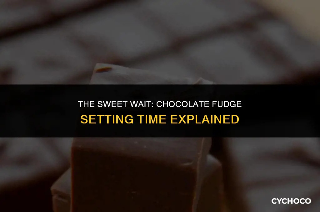 how long does chocolate fudge take to set