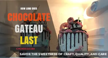 Decadent Chocolate Gateau: A Timeless Treat or a Perishable Delight?