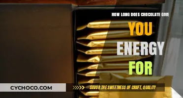 Sustained Energy: The Lasting Power of Chocolate Revealed