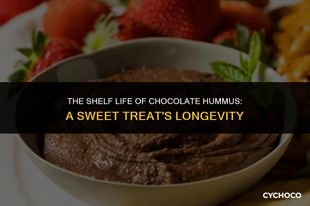 how long does chocolate hummus last