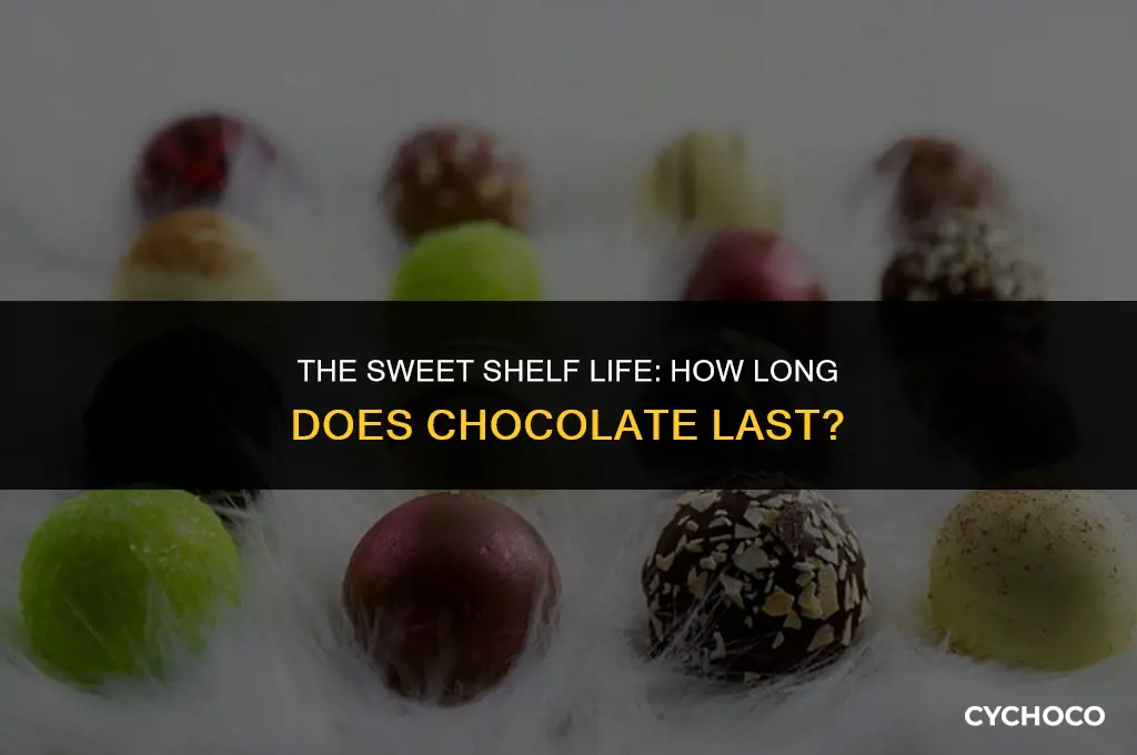 how long does chocolate las
