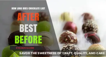 Decoding Chocolate Shelf Life: Beyond the Best Before Date