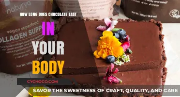 The Sweet Timeline: How Long Does Chocolate Stay in Your System?