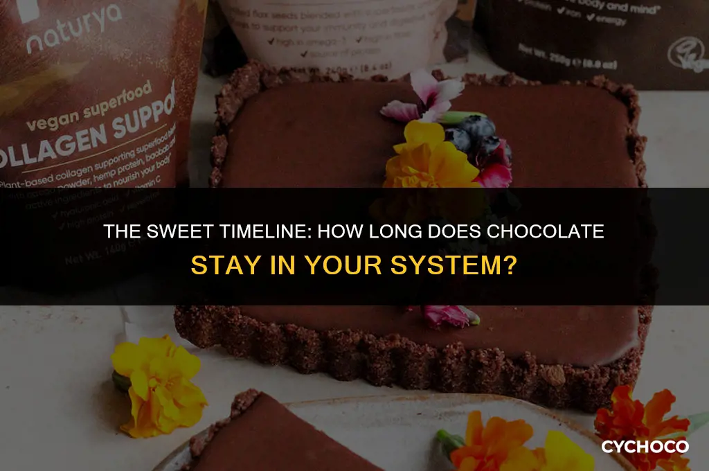 how long does chocolate last in your body