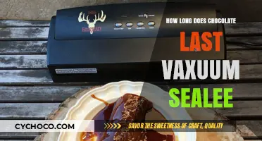 Preserving Chocolate Freshness: The Vacuum Sealer's Impact