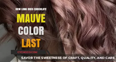 The Timeless Elegance of Chocolate Mauve: A Color's Lasting Impact