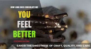Sweet Relief: The Mood-Boosting Magic of Chocolate Explained
