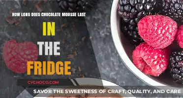 Chocolate Mousse Shelf Life: How Long Does It Last in the Fridge?