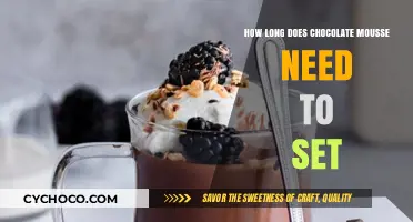 Mastering the Perfect Set: A Guide to Chocolate Mousse Timing