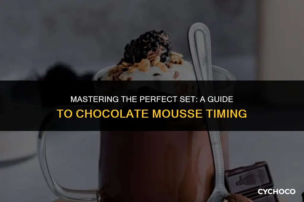 how long does chocolate mousse need to set