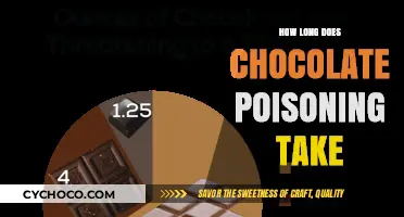 Decoding Chocolate Toxicity: A Timeline of Poisoning Effects