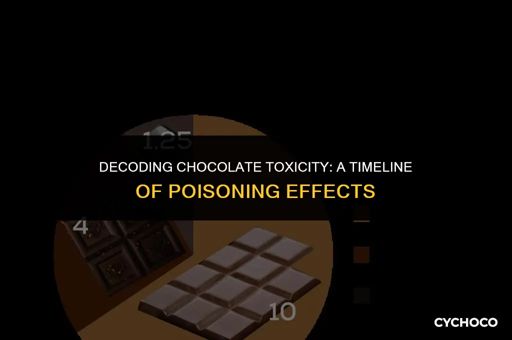 how long does chocolate poisoning take